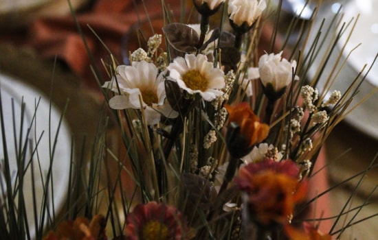 FLORES