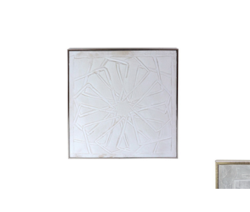 TELA C/MOLD 60x60x3 BD004-TNTi