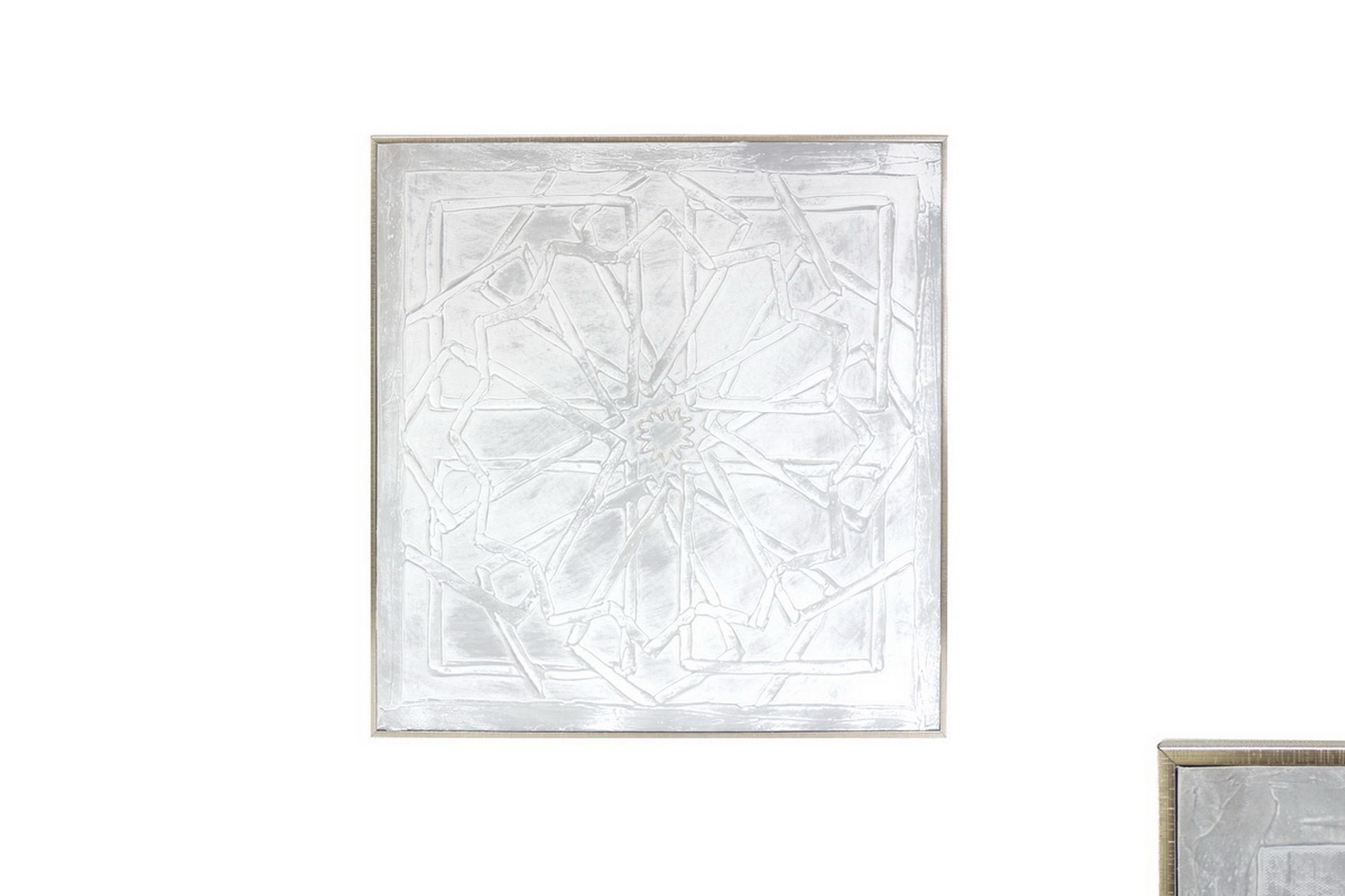 TELA C/MOLD 60x60x3 BD005-TNTi