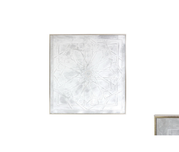 TELA C/MOLD 60x60x3 BD005-TNTi