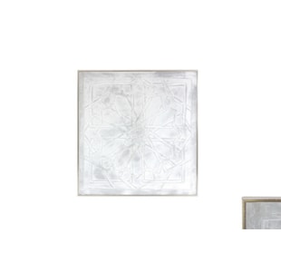 TELA C/MOLD 60x60x3 BD005-TNTi