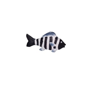VELA PEIXE SH25-40021B