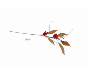 HASTE MAGNOLIA VERM TWD176A