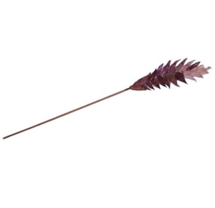 ESTRELICIA LILAS KA365-1PURPLE