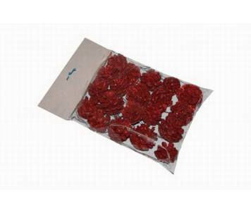 PINHAS VERMELHO LNJ6885