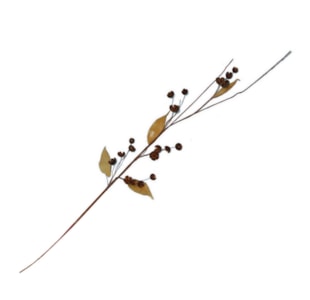 HASTE FRUT SECOS 80cm WK0811