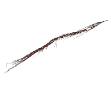 HASTE CAST 150cm CF82623-1