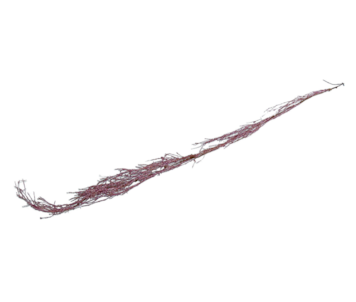 HASTE LILAS 150cm CF82623-1
