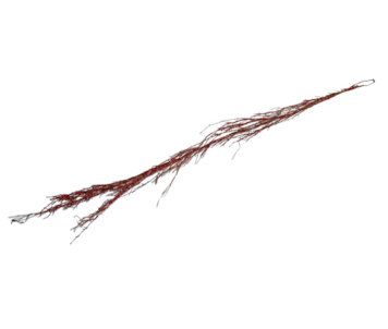 HASTE VRM 150cm CF82623-1