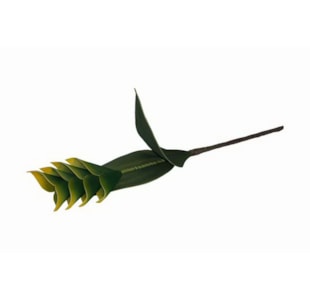 HASTE FLOR VERD/AMAR W100612083