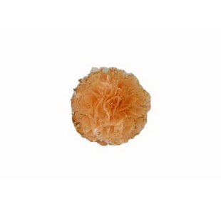 BOLA DEC 10cm SALMAO SN60046-18