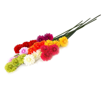 HASTE DALIA 52022