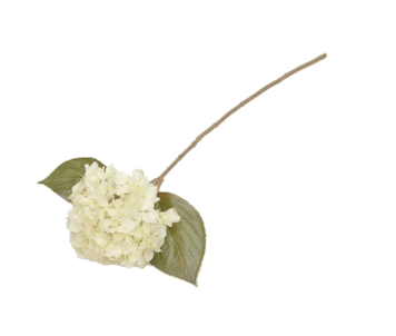HORTENSIA BRAN 65cm YX937820A WH