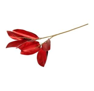 FOLHAGEM MAGN VERM 72cm YP109025 RD-04