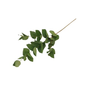 HASTE FOLHAGEM 60cm WB11132SGN1