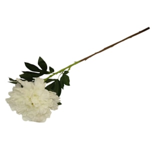 HASTE PEONIA BCO 102cm 213A1-1S