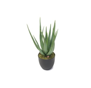 PLANTA ALOE 57cm YC15-ALOE-A2