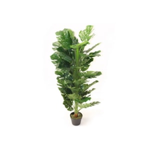 PLANTA MONSTERA 140cm YC18-02001003