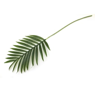 FOLHA PALMEIRA ARECA 86cm YC18-J07501