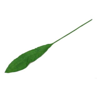 FOLHA DE ESTRELICIA 72cm 30131