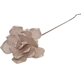 HASTE MAGNOLIA BEGE EAF12-776FF