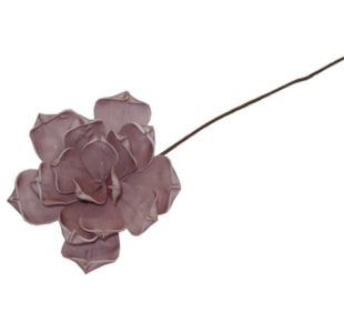 HASTE MAGNOLIA ROSA EAF12-776FF