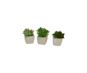 VASO C/CACTO 3 SORT TZM191054