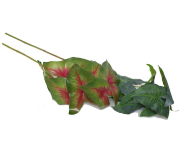 FOLHAGEM CALADIUM 70cm 37023