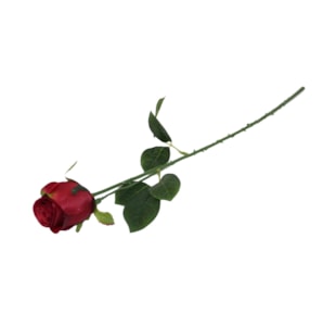 HASTE ROSA VERM 65cm BY1920030