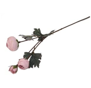 HASTE RAINUNCULO ROSA 65cm BY19200#2