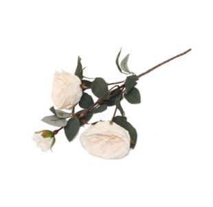 HASTE ROSA PERO 53cm BY19202#1