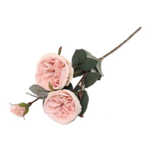 HASTE ROSA ROSA 53cm BY19202#2