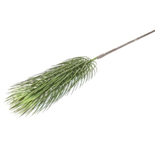 HASTE PINHEIRINHO 105cm BY192006