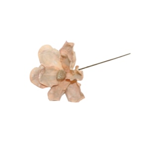 HASTE MAGNOLIA 59cm SALM FD299301#4