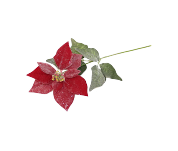 HASTE PONSETIA 50cm VERM HZY01106