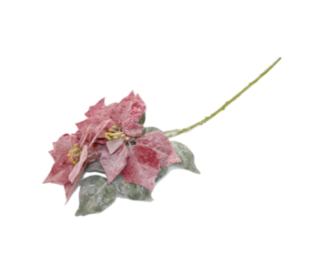 HASTE PONSETIA 80cm VERM HZY01111MG