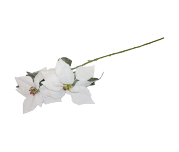 HASTE PONSETIA 80cm BRAN HZY01111MG-WH