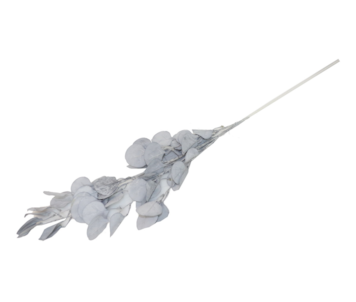 HASTE EUCALIPTO 107cm AZ TS2019X009#4