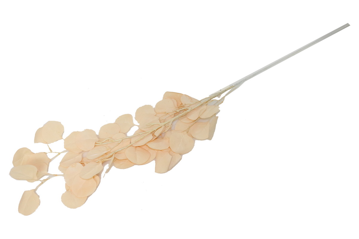 HASTE EUCALIPTO 107cm CREM TS2019X009#9