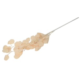 HASTE EUCALIPTO 107cm CREM TS2019X009#9