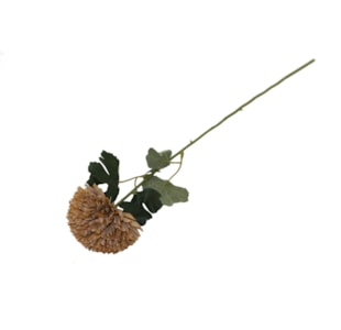 HASTE FLOR 50cm BEGE TSQ190137#4