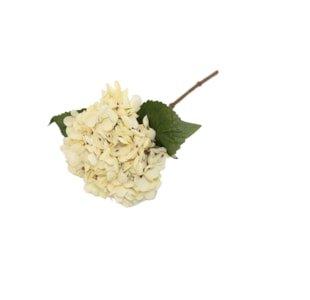 HASTE HORTENSE 33cm PER TSQ190145#1