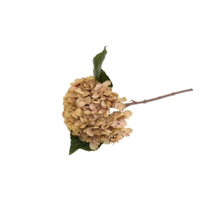 HASTE HORTENSE 33cm SALM TSQ190145#4