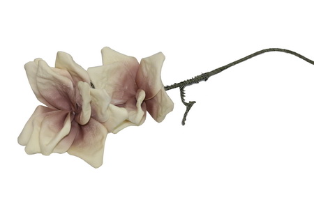 HASTE MAGNOLIA 100cm CREM VTL06925-AI