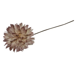 HASTE FLOR 68cm PER/RS TL04769-AI