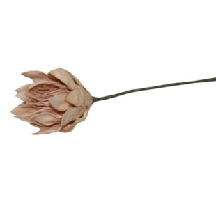 HASTE PROTEA 69cm SALM TL05942B-AG