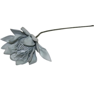 HASTE PROTEA 69cm AZ TL05942B-AP