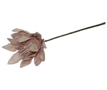 HASTE PROTEA 69cm ROSA TL05942B-AQ