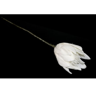 HASTE PROTEA 69cm BRANCO TL05942B