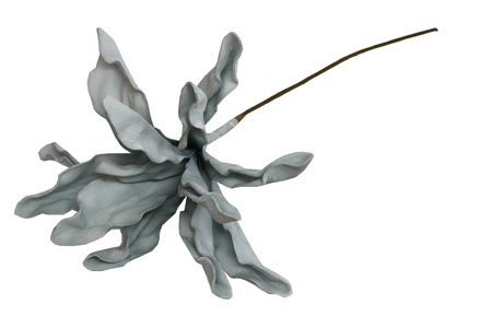 HASTE MAGNOLIA 75cm AZ TL00657B-AT